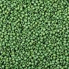 TOHO Round Seed Beads X-SEED-TR08-0407F-2