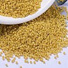 MIYUKI Delica Beads SEED-X0054-DB2102-1