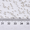 Glass Seed Beads X-SEED-S042-04B-06-4