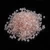 11/0 Two Cut Round Hole Glass Seed Beads SEED-G006-2mm-L16-2