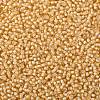 TOHO Round Seed Beads SEED-XTR08-0923-2