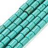 Synthetic Turquoise Beads Strands TURQ-G120-4x6mm-13-1