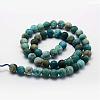 Natural Apatite Beads Strands G-K193-10mm-12-2
