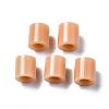 PE Fuse Beads X-DIY-R013-18-3