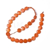Spray Painted Natural Freshwater Shell Beads Strands SHEL-C003-05A-2