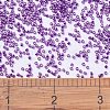 MIYUKI Delica Beads X-SEED-J020-DB0431-4