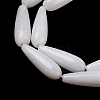 Natural Freshwater Shell Beads Strands SHEL-A004-03A-3