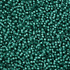 12/0 Grade A Round Glass Seed Beads X-SEED-N001-D-20/218-2
