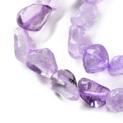 Natural Amethyst(Dyed & Heated) Beads Strands X-G-P497-01C-47-1