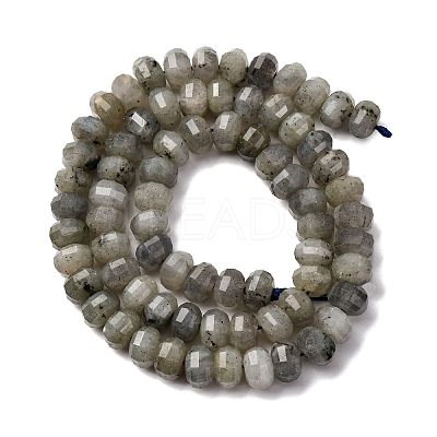Natural Labradorite Beads Strands G-P587-D13-02-1