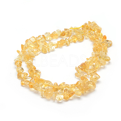Natural Citrine Beads Strands X-G-P332-51-1
