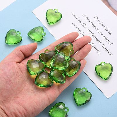 Transparent Acrylic Pendants TACR-T024-03B-925-1