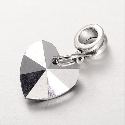 Large Hole Alloy European Dangle Charms PALLOY-JF00041-03-1