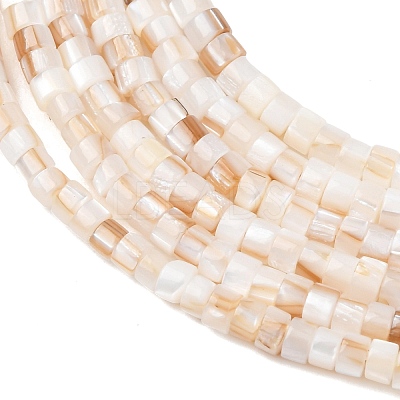 Natural Freshwater Shell Beads Strands X-SHEL-K006-72A-1