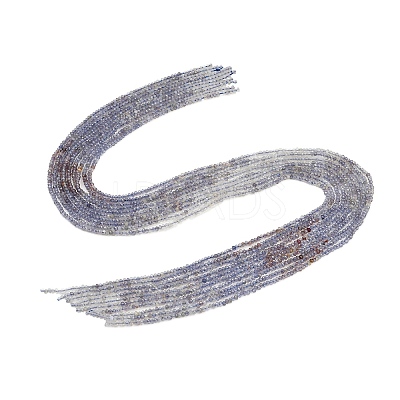 Natural Iolite Beads Strands G-F789-02-1