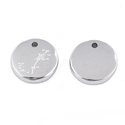 Non-Tarnish 316 Surgical Stainless Steel Charms STAS-S116-418J-P-1