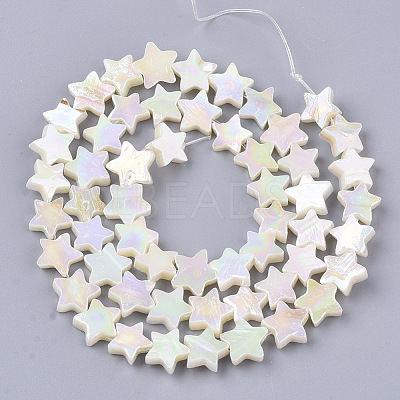 Freshwater Shell Beads Strands X-SHEL-N026-08A-1