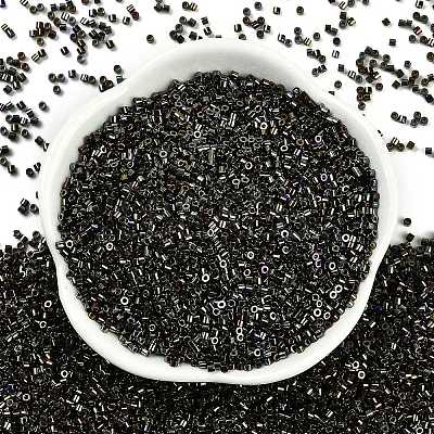 Electroplate Glass Seed Beads SEED-H003-10L-1