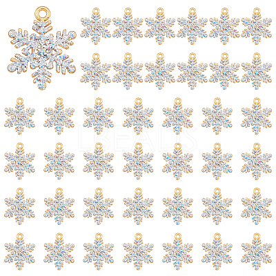 40Pcs Alloy Rhinestone Pendants ALRI-DC0001-06-1