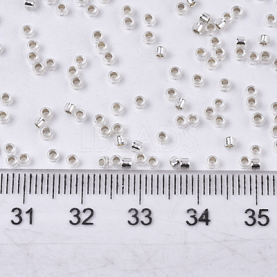 Glass Seed Beads X-SEED-S042-04B-06-1