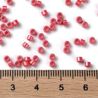 Baking Paint Glass Seed Beads X-SEED-S042-15A-06-1