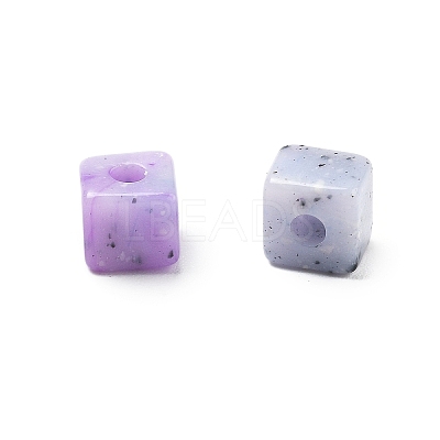Transparent Acrylic Beads OACR-H044-04A-05-1