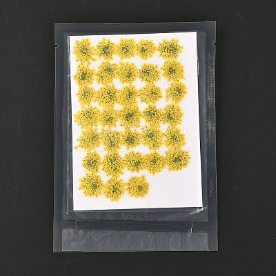 Pressed Dried Flowers DIY-K032-58L-1