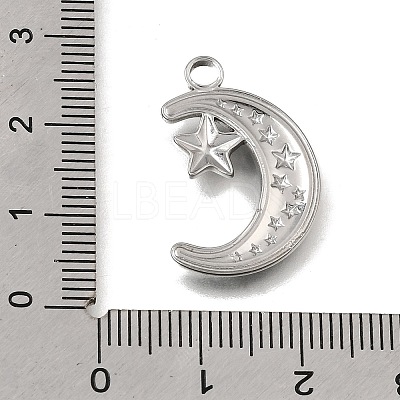 304 Stainless Steel Pendants STAS-N108-93P-1