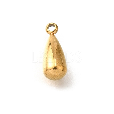 304 Stainless Steel Charms STAS-C122-07G-1