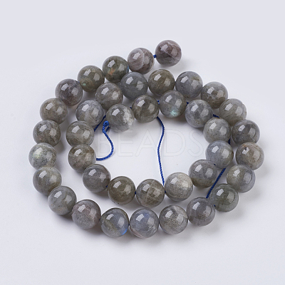Natural Labradorite Beads Strands X-G-G212-10mm-23-1