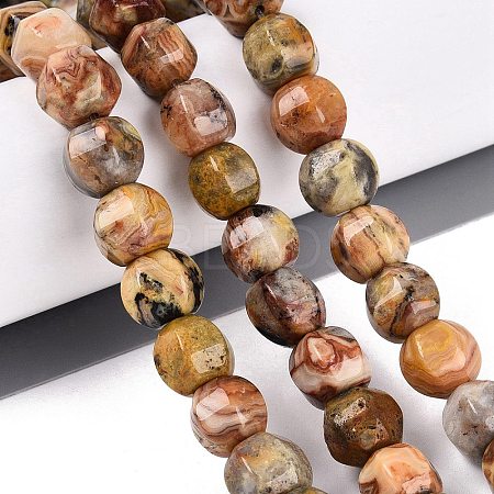 Natural Crazy Agate Beads Strands G-Q608-08A-05-1