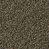 TOHO Round Seed Beads X-SEED-TR11-0204-2