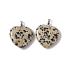 Natural Dalmatian Jasper Pendants G-G956-B60-FF-2