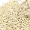 TOHO 11/0 Round Beads X-SEED-TR11-0123L-1