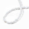 Natural Freshwater Shell Beads Strands SHEL-N003-25-A01-4