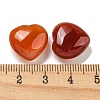 Natural Carnelian Beads G-P531-A18-01-3
