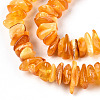 Natural Amber Beads Strands G-T138-235B-3