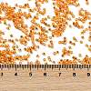 Electroplate Glass Seed Beads SEED-H003-10F-4