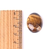 Natural Tiger Eye Cabochons PW-WGEFD9A-02-3