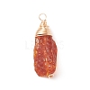 Natural Amber Pendants PALLOY-JF01827-02-2