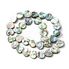 Natural Paua Shell Beads Strands SHEL-F006-04-2