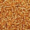 TOHO 8/0 Round Beads SEED-TR08-0022B-2