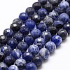 Natural Sodalite Beads Strands X-G-D840-19-6mm-1