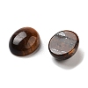 Natural Tiger Eye Cabochons G-G145-01A-29-2