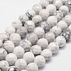 Natural Howlite Beads Strands G-D840-44-10mm-1