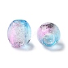 Painted Acrylic Beads OACR-Z010-03D-2