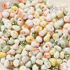Baking Paint Glass Seed Beads SEED-F006-01A-11-3
