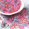 Transparent Glass Round Seed Beads X1-SEED-B001-05A-14-1