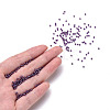 11/0 FGB Grade A Dyed Glass Seed Beads X-SEED-N001-C-0565-4