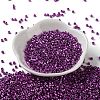 Baking Paint Glass Seed Beads X-SEED-S042-15A-20-2